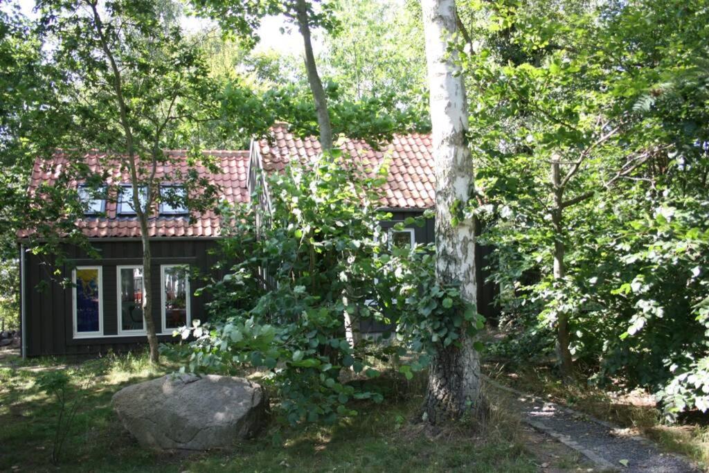 Oak Cottage Near Ronne & Beach Dış mekan fotoğraf
